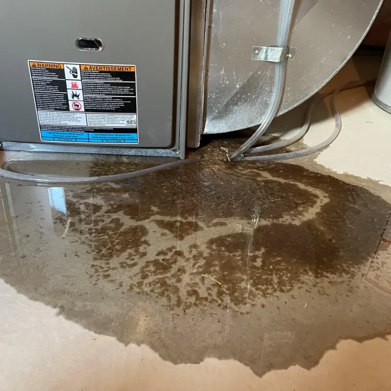 Appliance Leak Cleanup in Butler, IN